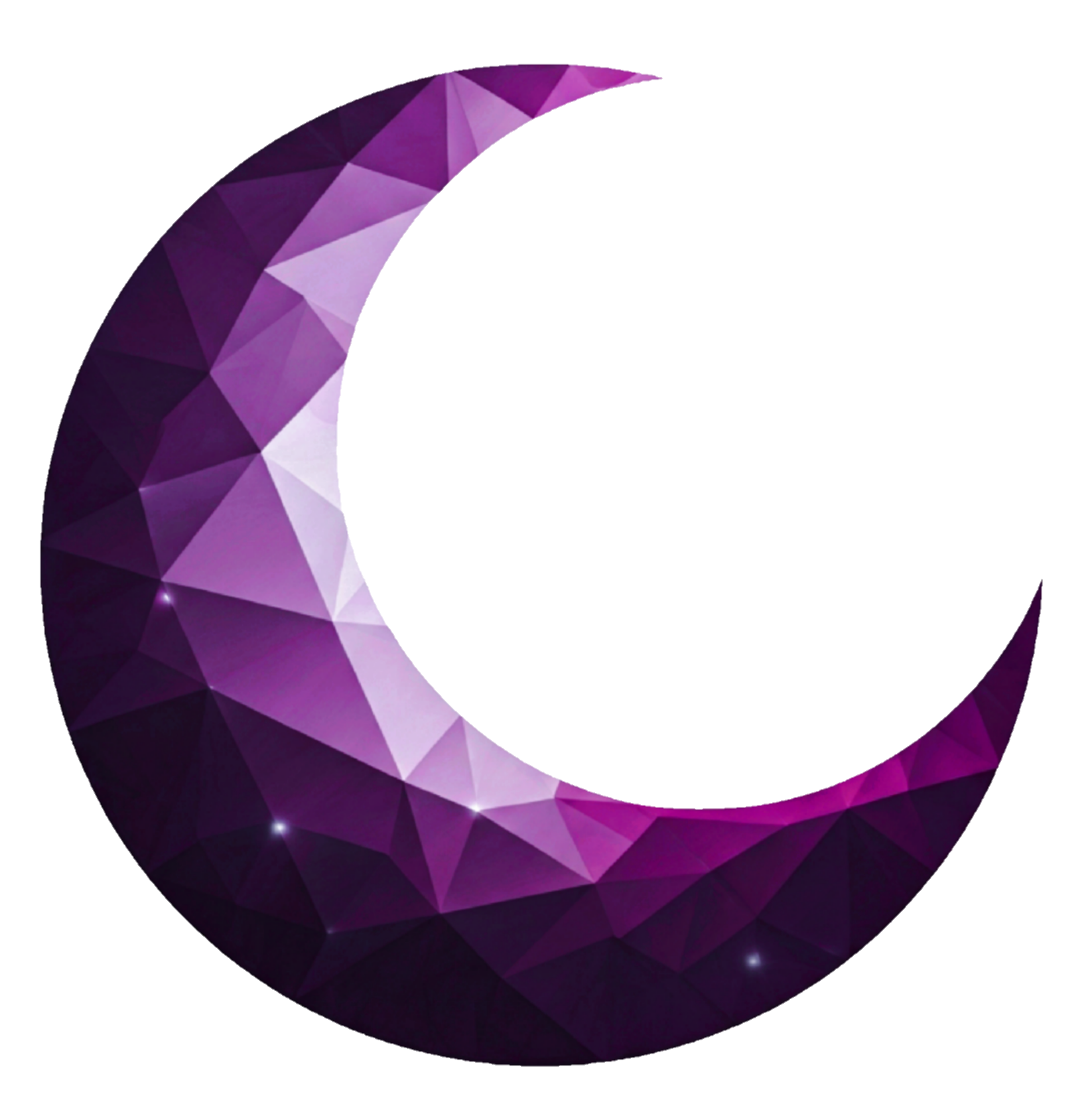 Moon AI Logo